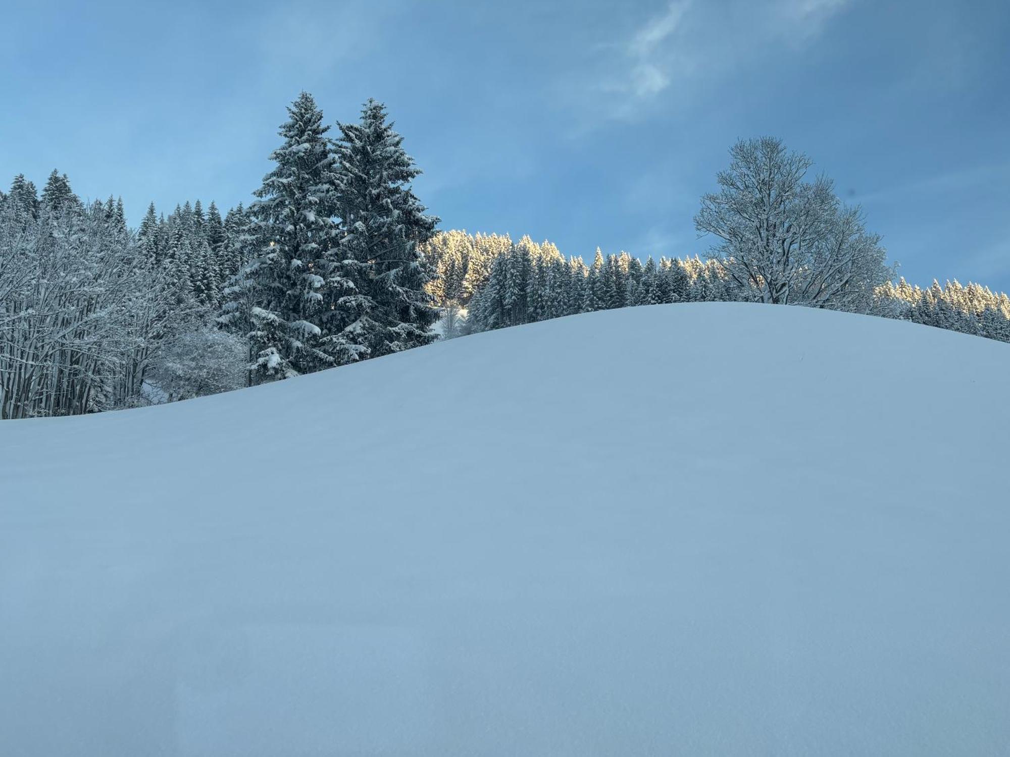 Ferienwohnung Grossbergblick Filzmoos Exterior foto